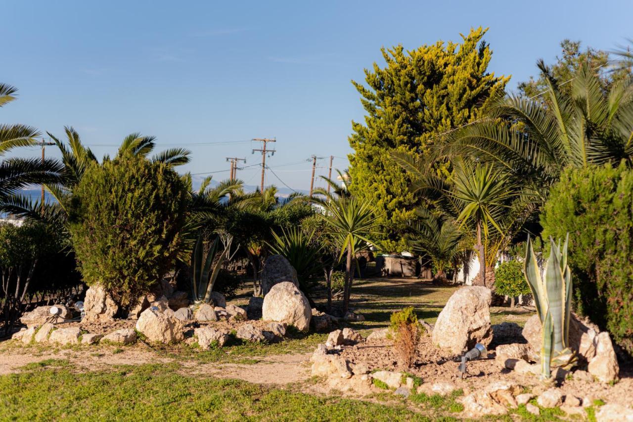 Marina'S Paradise Summer House Vagia  ภายนอก รูปภาพ